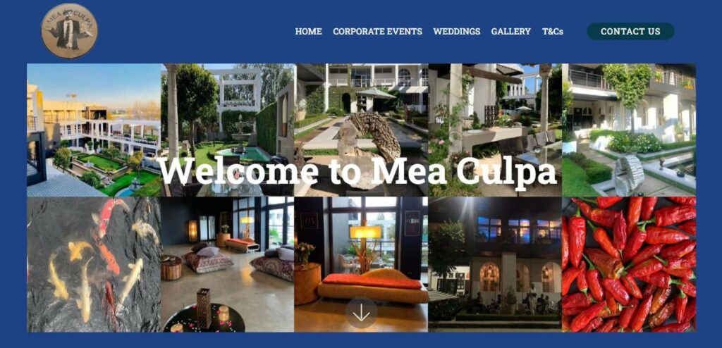 Mea Culpa's Homepage