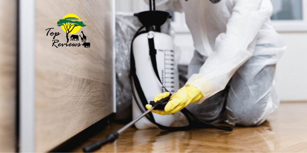 The 5 Best Pest Control Services in Johannesburg Homepage