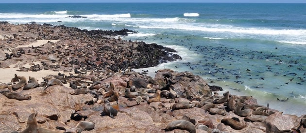 Here Are the Best Beaches in the Northern Cape [2026]