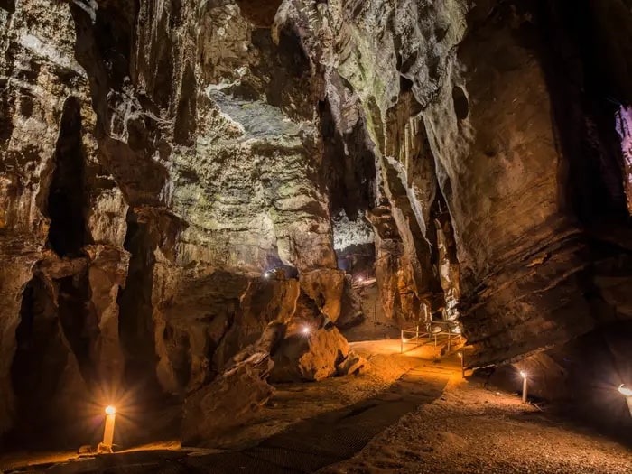 South Africa is where the first signs of human life can be found.