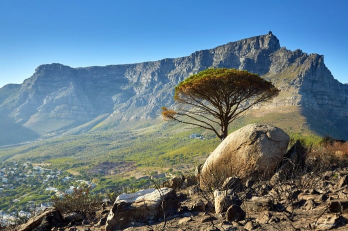 What makes Table Mountain special