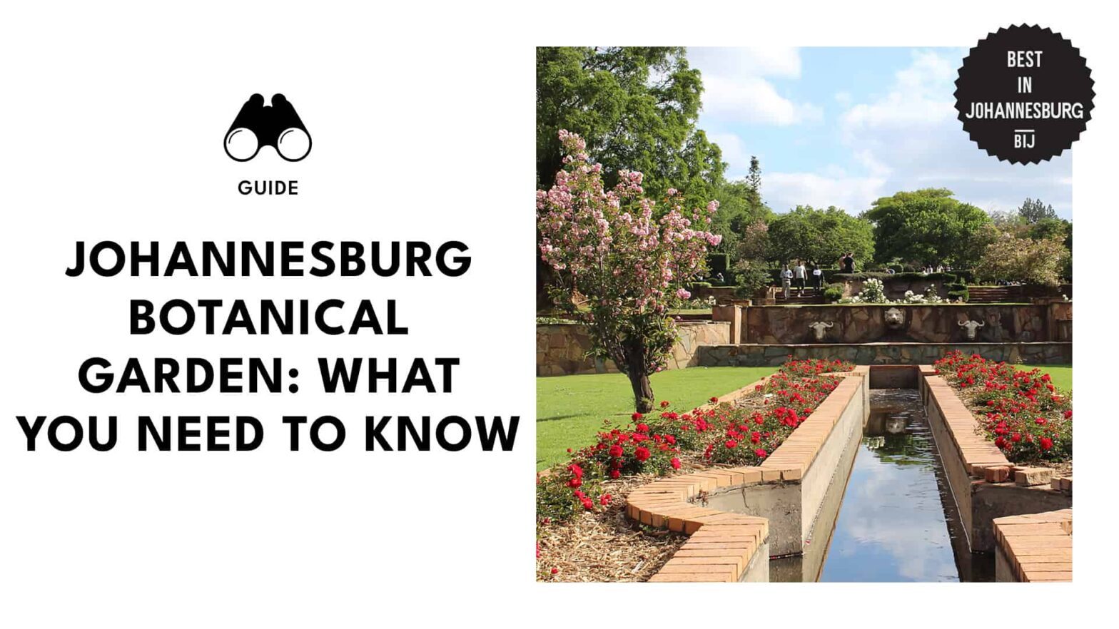 Our Ultimate Guide to the Johannesburg Botanical Garden [2026]