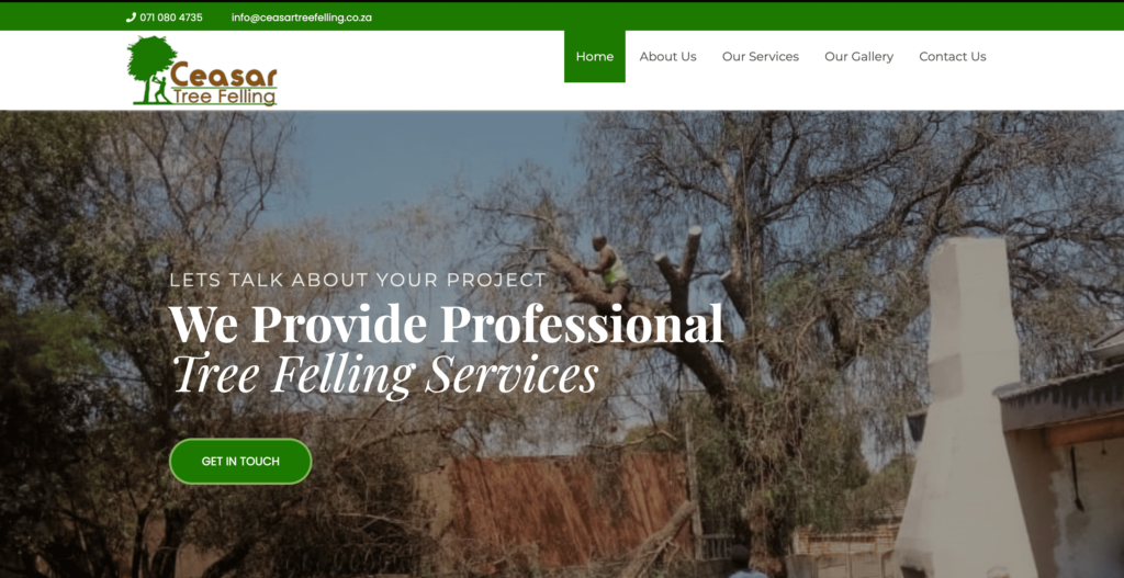 Top 6 Tree Service Providers in South Africa [2026 ]