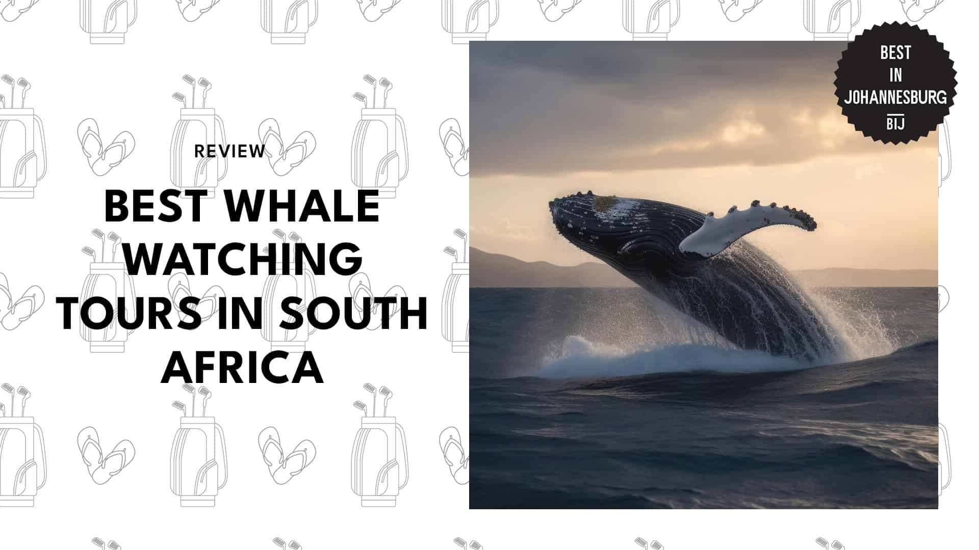 best-whale-watching-tours-south-africa-banner