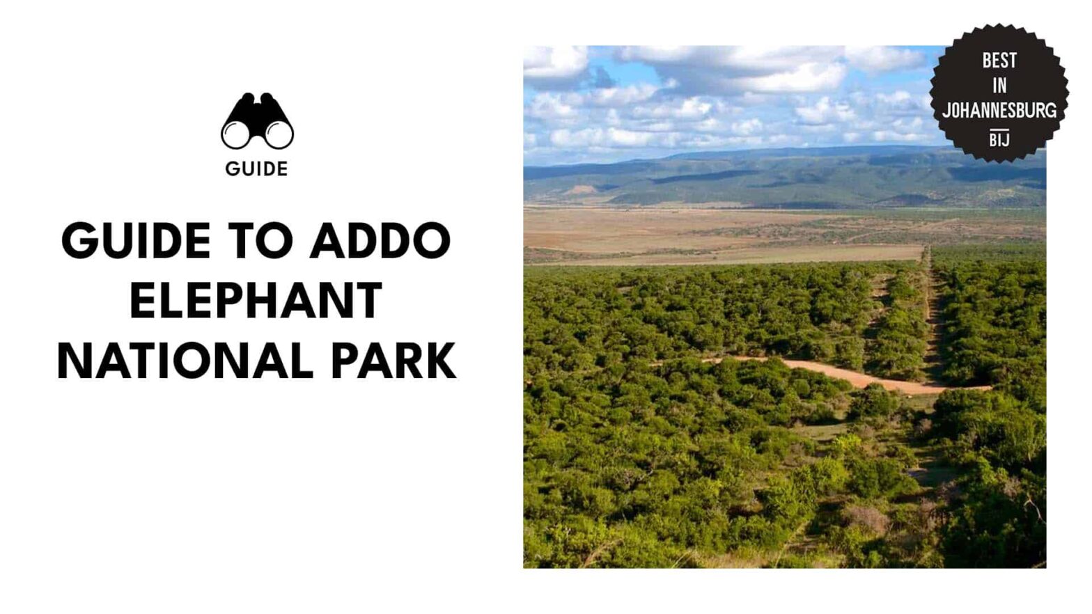 A Guide to Addo Elephant National Park’s Gentle Giants