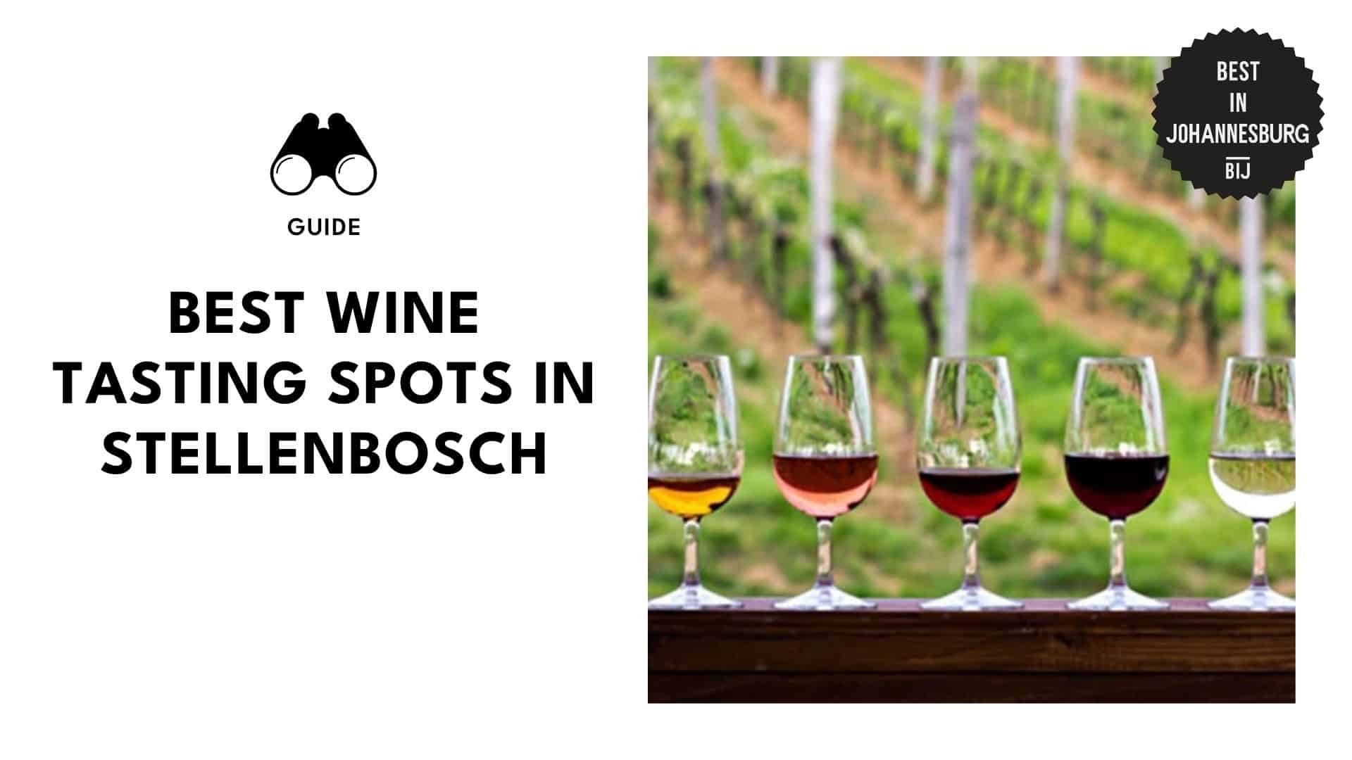 wine-tasting-stellenbosch
