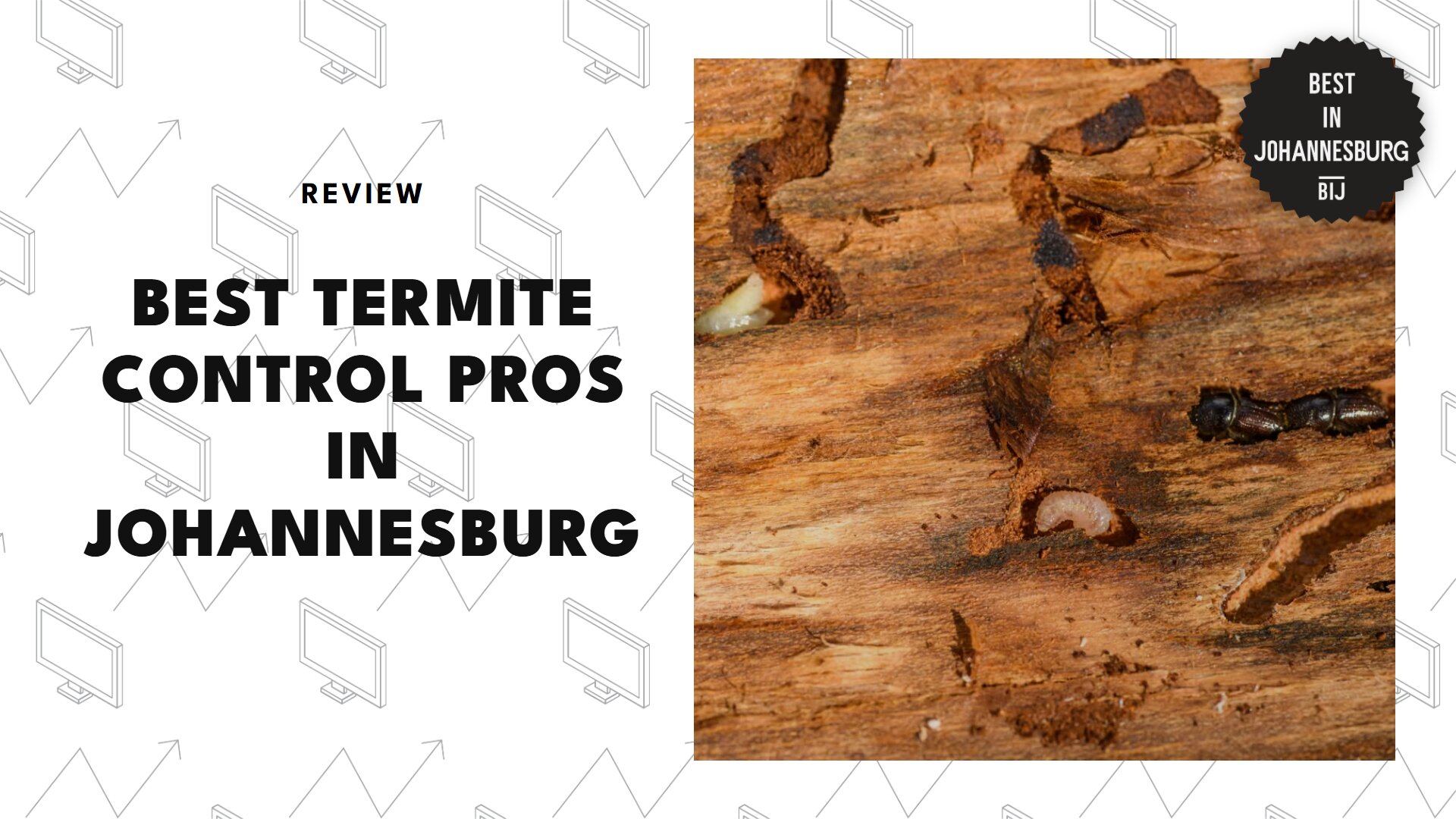best-termite-control-johannesburg-banner